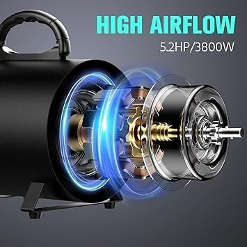 71UrVNIKEBL._SY355_-1.jpg