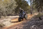 cole1-2.webp
