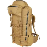gogv1-2-1.webp