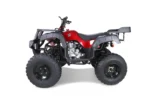 tao2501-2-1.webp